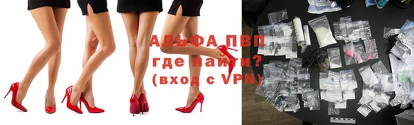 ПСИЛОЦИБИНОВЫЕ ГРИБЫ Арсеньев