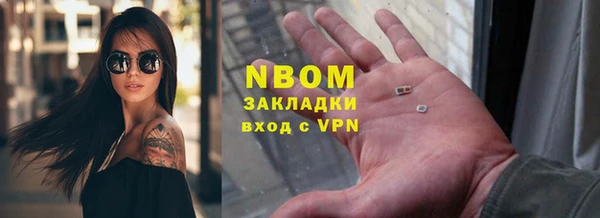 ПСИЛОЦИБИНОВЫЕ ГРИБЫ Арсеньев