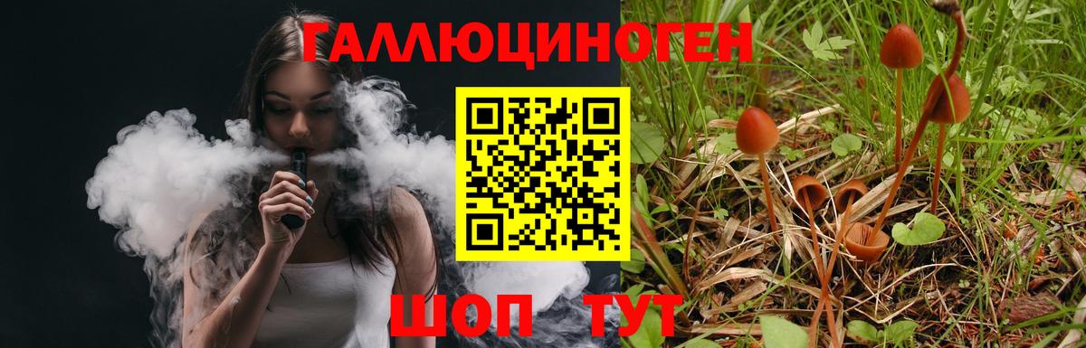 Галлюциногенные грибы ЛСД Лесной