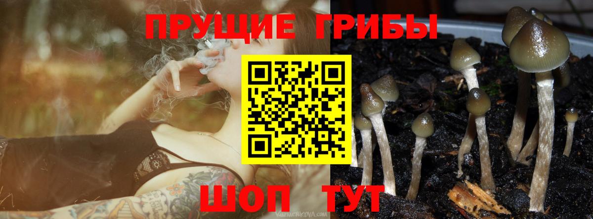 Галлюциногенные грибы мицелий  Вход с VPN  Лесной  цены   Галлюциногенные грибы Cubensis 