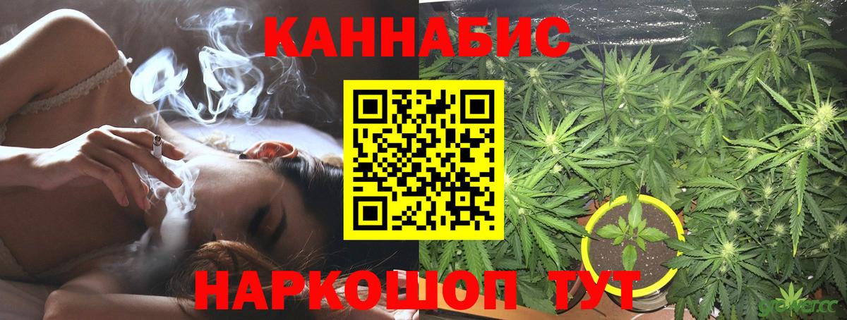 Конопля план  МАРИХУАНА VHQ  Бошки Шишки VHQ  Лесной  Шишки марихуана гибрид 